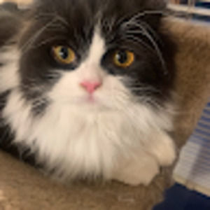 Meet your Posher, Beth